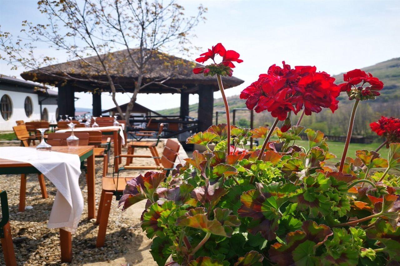 Ferma Dacilor Hotel Tohani Екстериор снимка