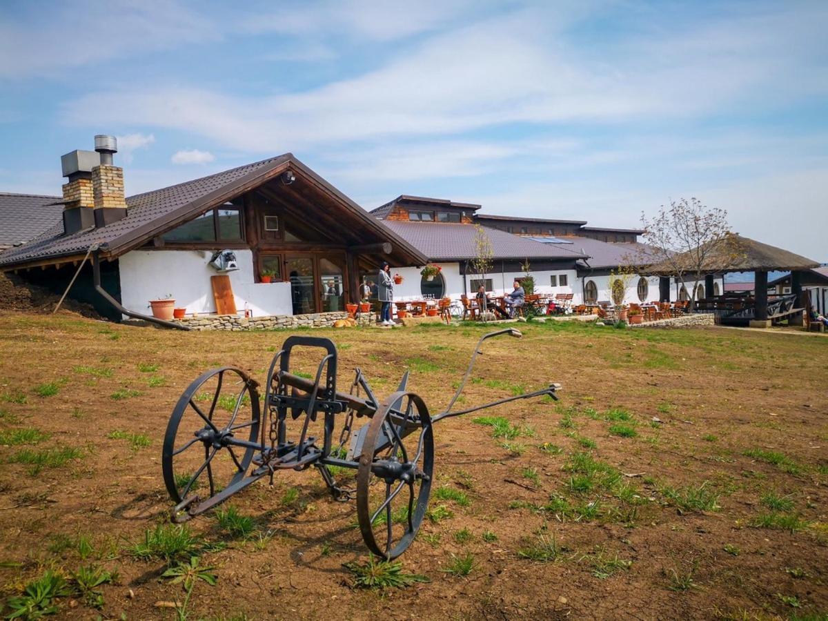 Ferma Dacilor Hotel Tohani Екстериор снимка