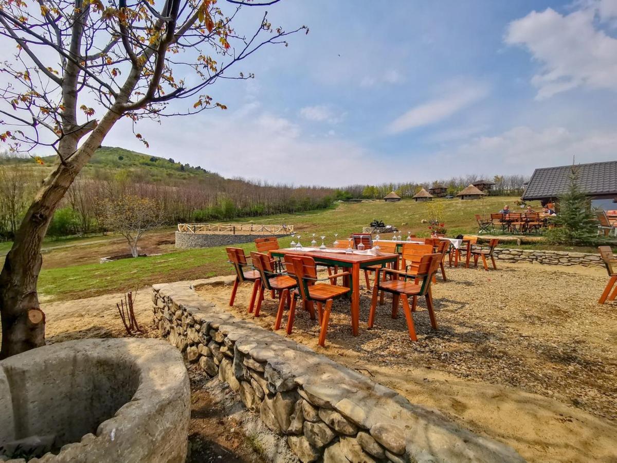 Ferma Dacilor Hotel Tohani Екстериор снимка