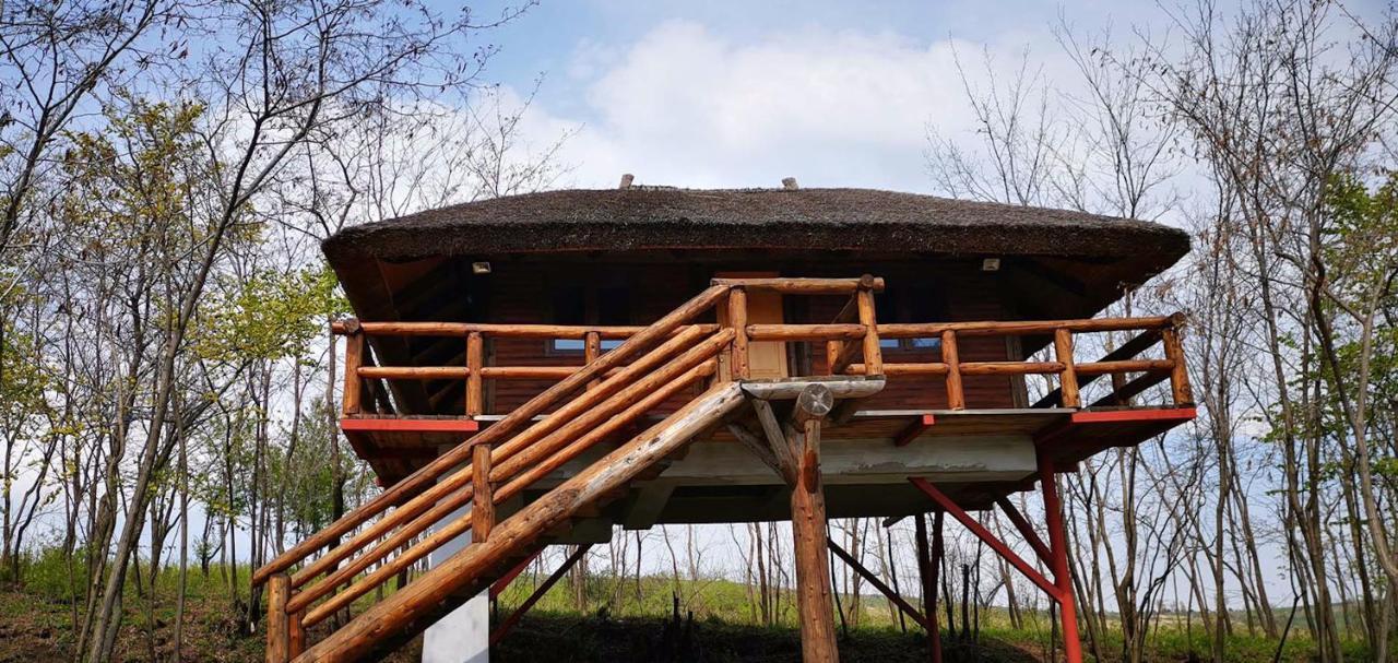 Ferma Dacilor Hotel Tohani Екстериор снимка